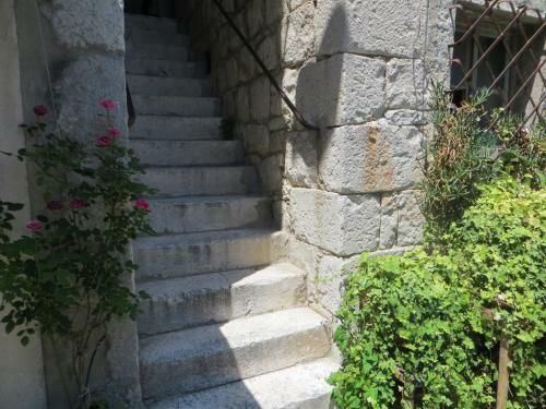 Hostal Guesthouse Luna