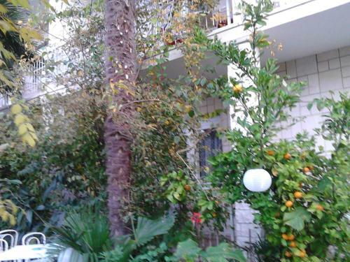 Apartment In Sukosan/zadar Riviera 8202