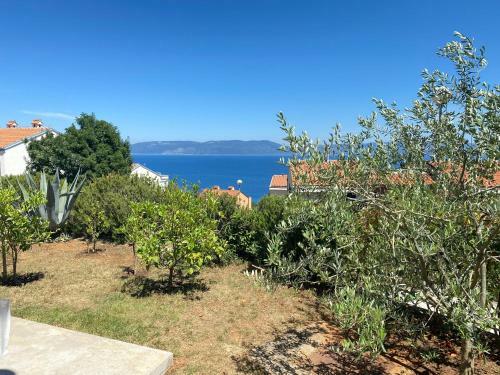 Apartment Ornela