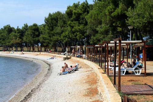 Apartments And Rooms With A Swimming Pool Novigrad - 11242