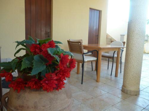 Bed&breakfast Vanni