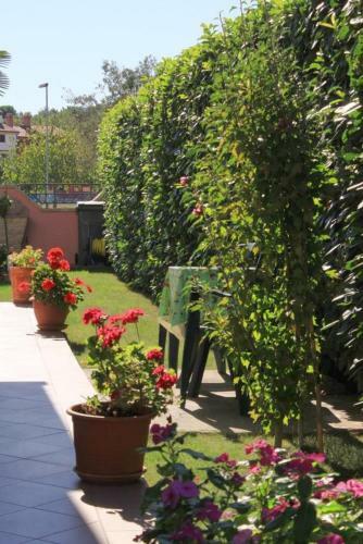 Apartment Fazana 7192a