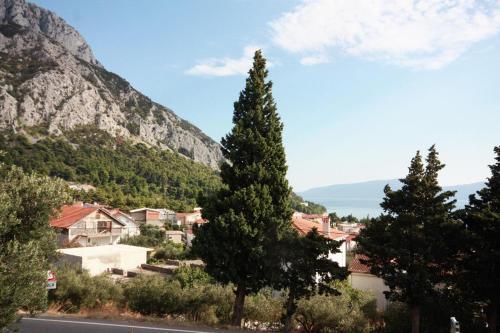 Apartments With A Parking Space Gradac (makarska) - 5198