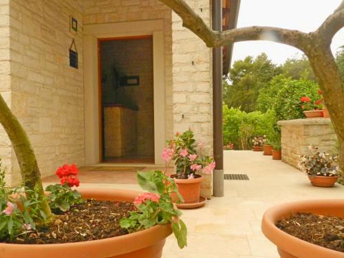 Apartment Valter