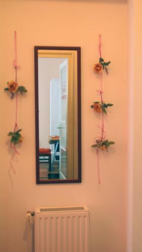 Apartment Dal