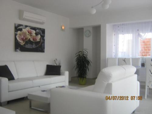 Apartment Tisno 11313b