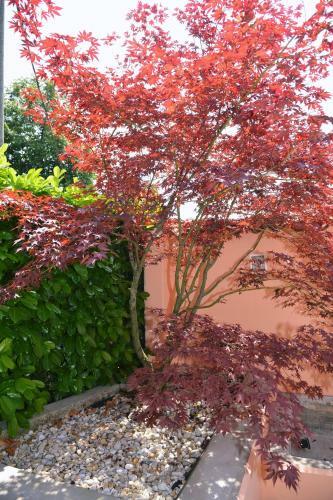 Apartments And Rooms Lago Rupa