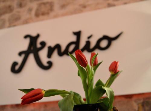 Bed&breakfast Andio