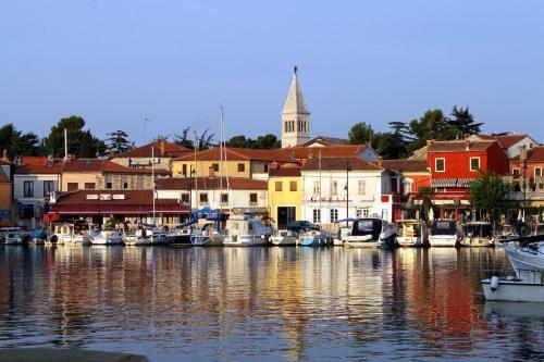 Apartment Novigrad 11242b