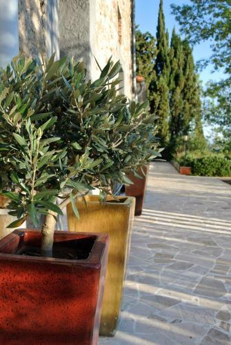 Hotel Le Relais Des Chartreuses