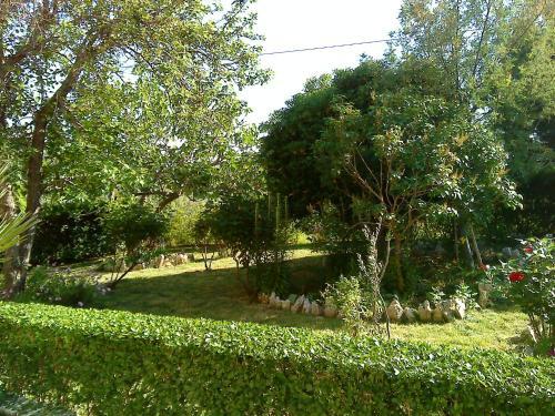 Apartment Milada