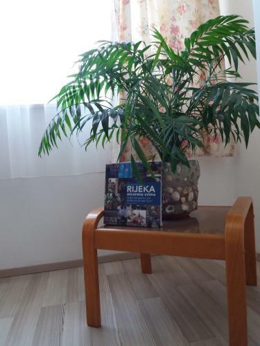 Apartment Cvjetna