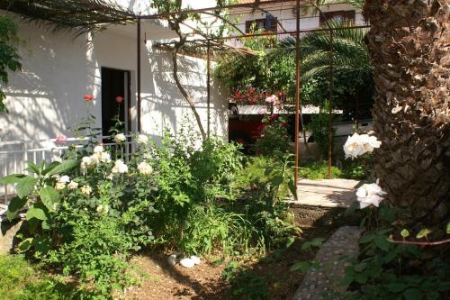 Apartment Orebic 4526a