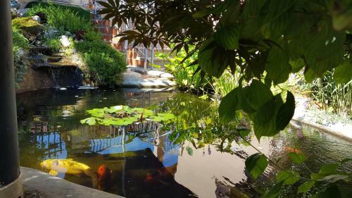 Ginkgo Apartments