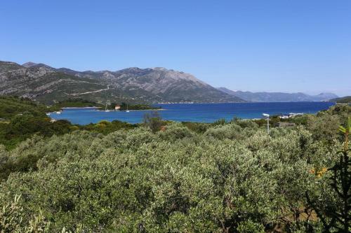 Apartments With A Parking Space Kneza (korcula) - 4343
