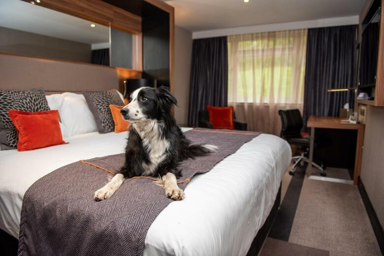 Hotel The Bellhouse