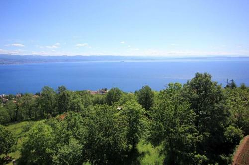 Apartments With A Parking Space Liganj (Opatija) - 2337