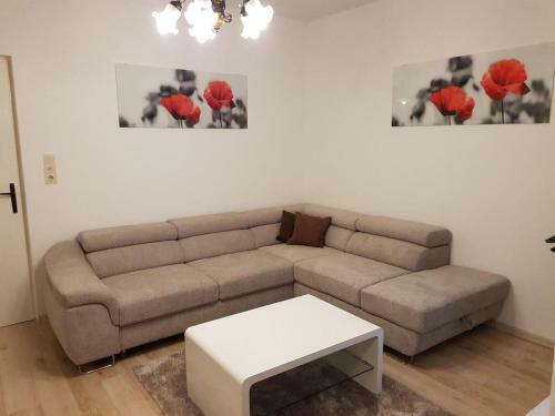 Apartment Barbat 4951b