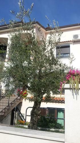 Apartment Ljubica