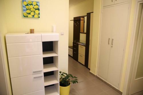 Apartment Zub?i?