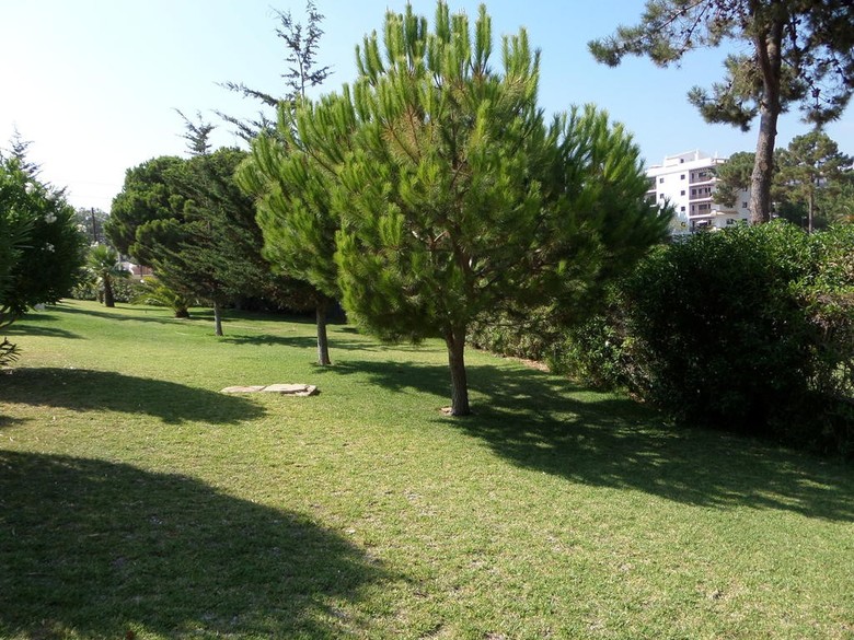 Hotel Aldeia Da Falesia