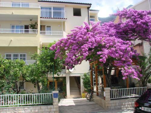 Apartment Letica