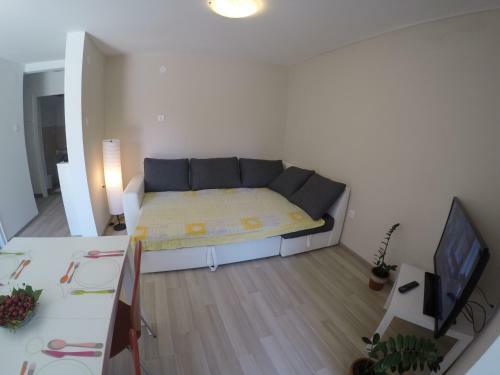 Apartment Kri?anec