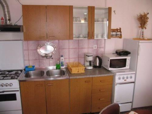 Apartment Bo�idar
