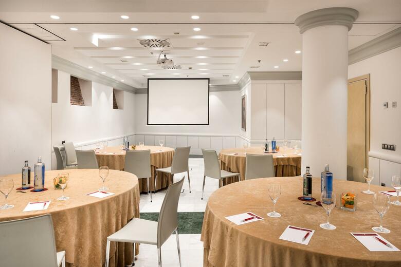 Hotel NH Collection Madrid Paseo Del Prado