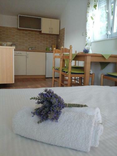 Apartments Anita Frane