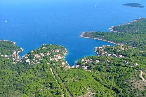 Apartments By The Sea Mudri Dolac (hvar) - 5694