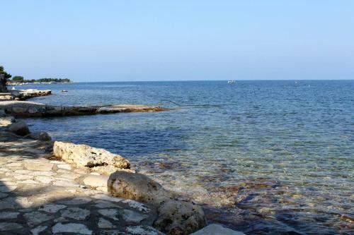 Hostal Studio Dajla 6935a