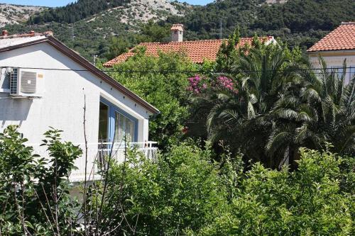 Apartment Barbat 4977a