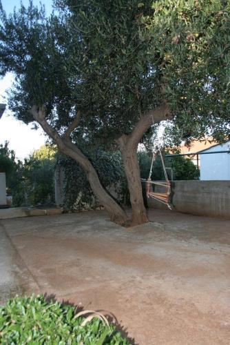 Apartment Splitska 2930c