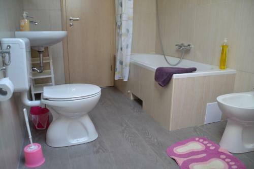 Apartamentos Anita Studio
