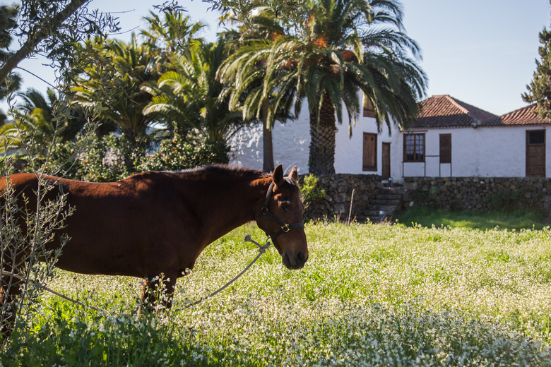 Hotel Se�orio Del Valle