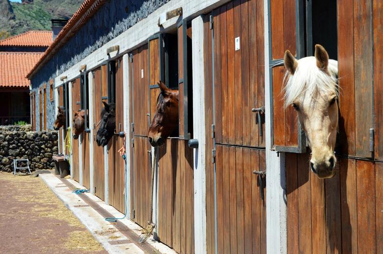 Hotel Se�orio Del Valle