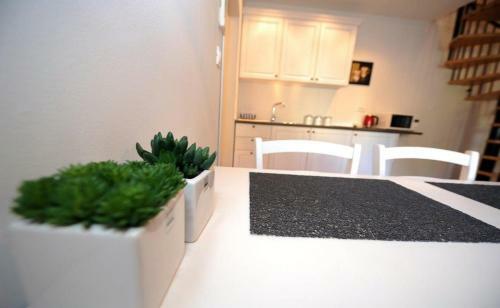 Premier Apartment Zadar