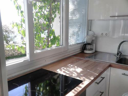Apartment Sanja
