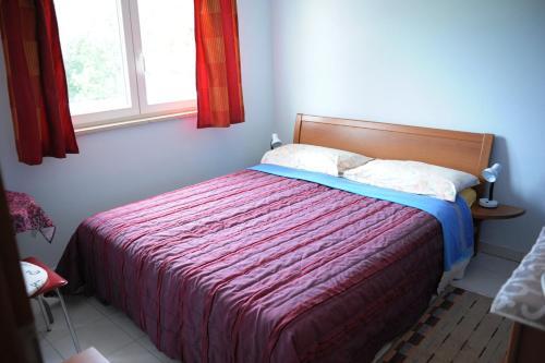 Apartment Venus 5