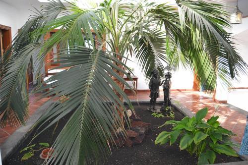 Villa Vista Timanfaya