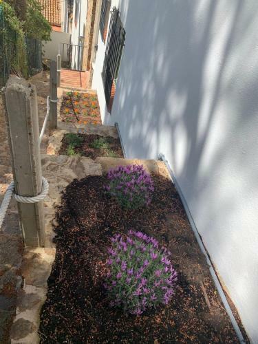 Apartamento Tamariu 1