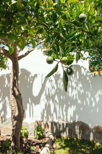 Agroturismo Casa Lola