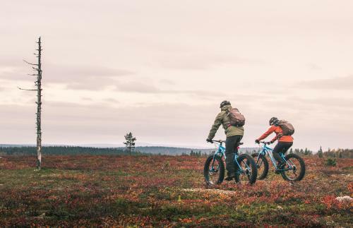 Lapland Hotels Luostotunturi & Amethyst Spa