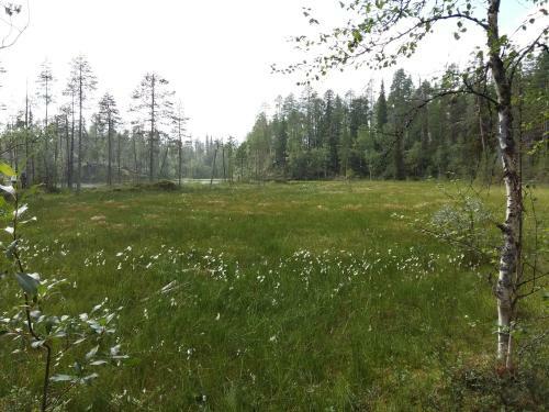Kelokallas 2 Ruka