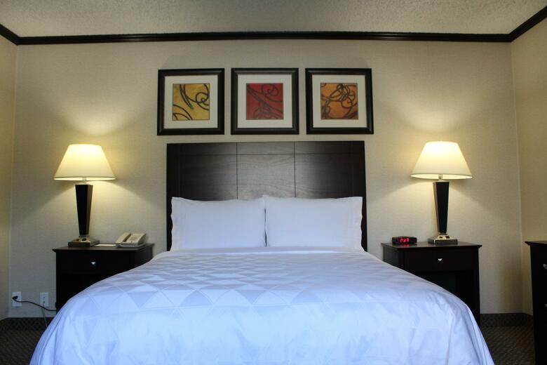 Hotel Holiday Inn Burbank-media Center