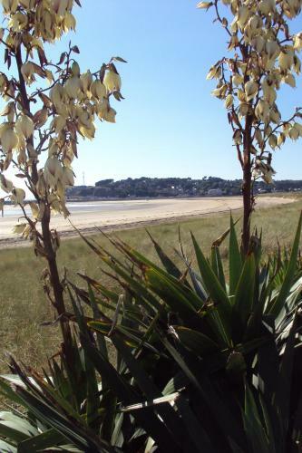 Hotel Bar - H�tel La Plage