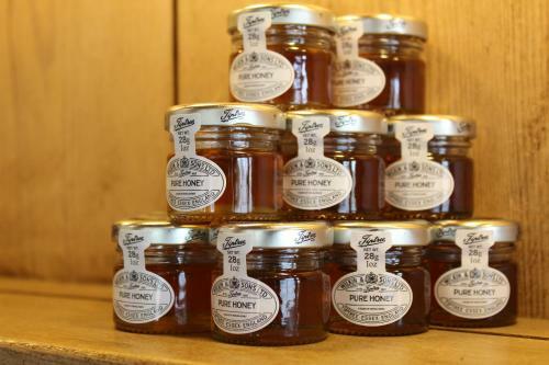 In Situ Hotel Le Chat Botte