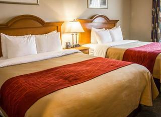 Hotel Comfort Inn Jfk Airport
