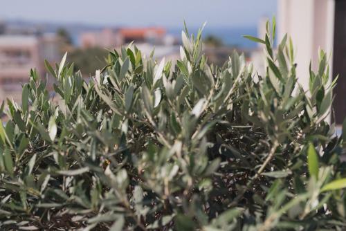 Koukos Villas